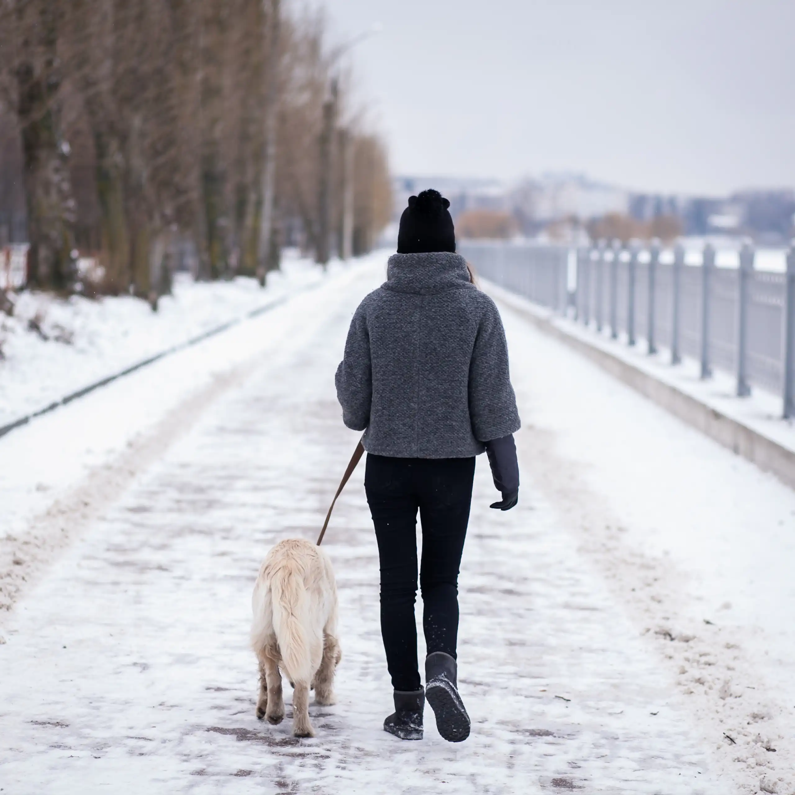 A woman walking a dog along a snow-covered path