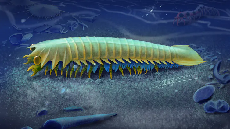 Artist reconstruction of Urokodia