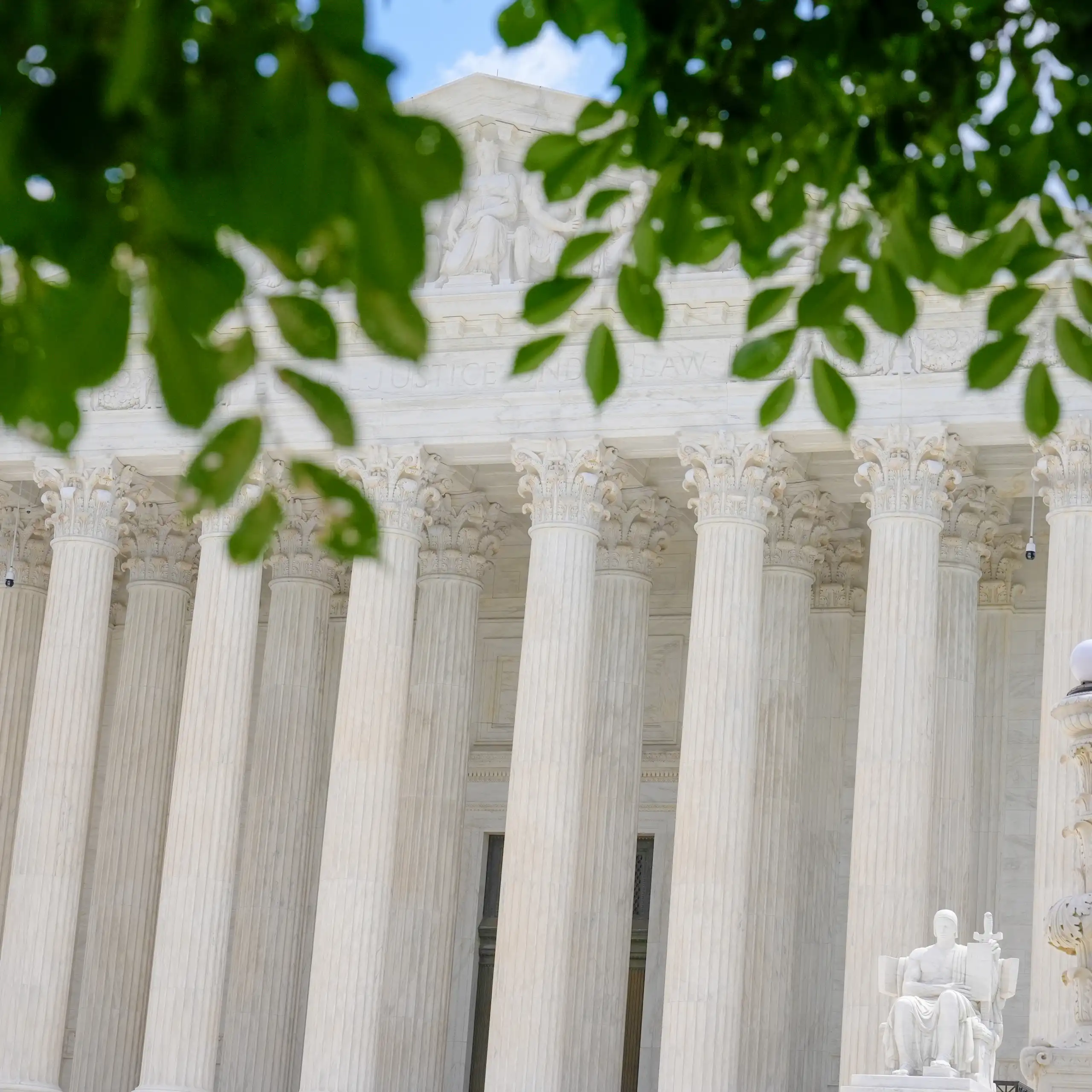 A federal building with white columns appears behind tree branches.