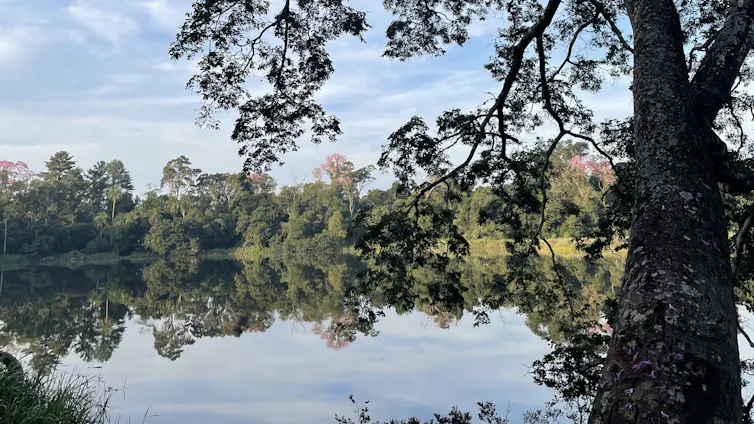 Vista del Paisaje Protegido Laguna Yrendy, Paraguay