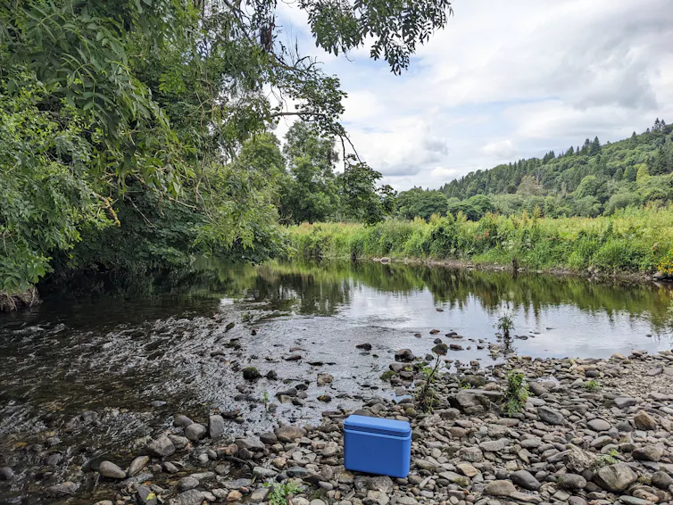 Trees and other greenery lining a river, a small cooler set on rocks in the foreground