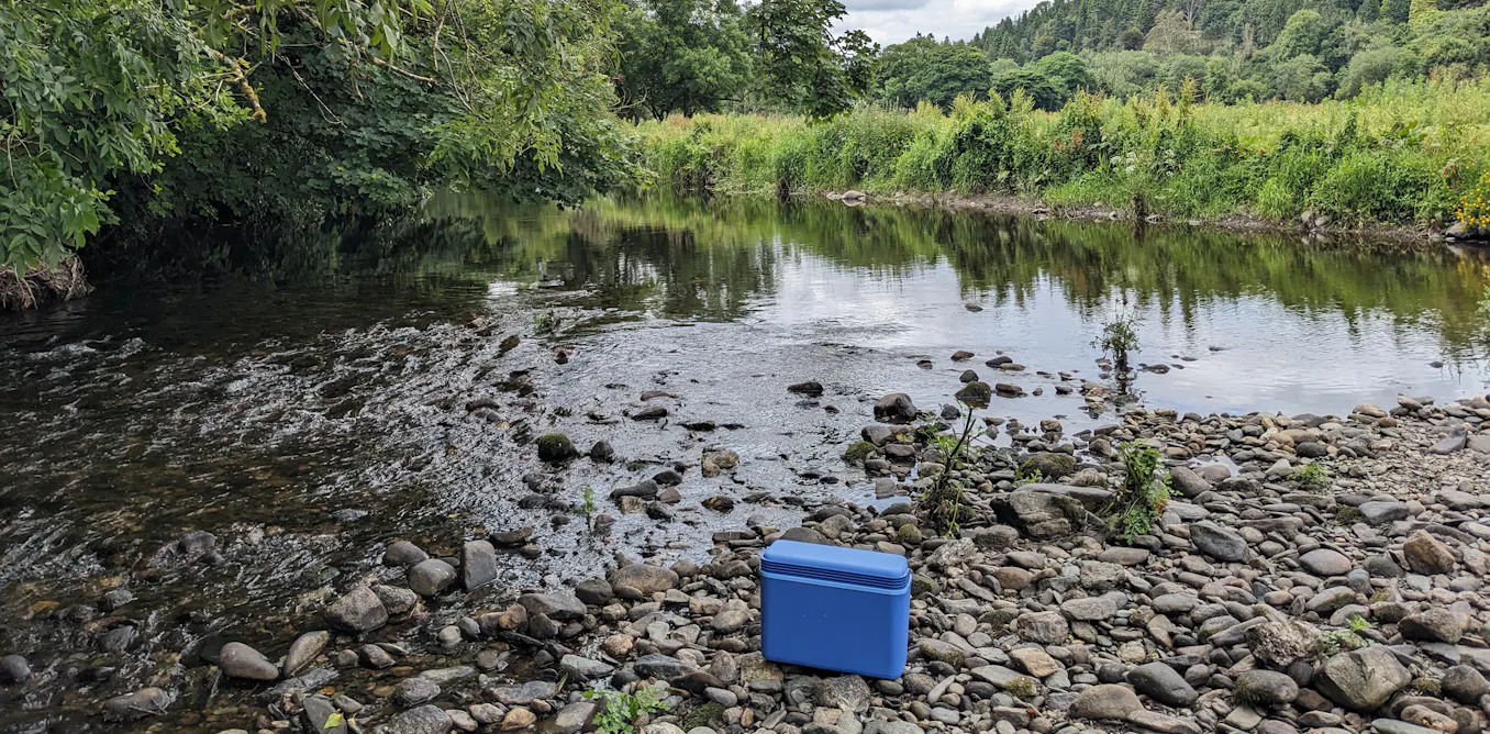 Fishing for DNA – how a cup of river water can reveal secrets about human health, pollution and biodiversity Fishing for DNA – how a cup of river water can reveal secrets about human health, pollution and biodiversity