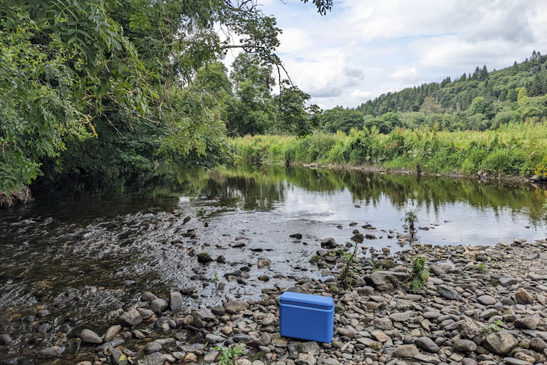 Trees and other greenery lining a river, a small cooler set on rocks in the foreground