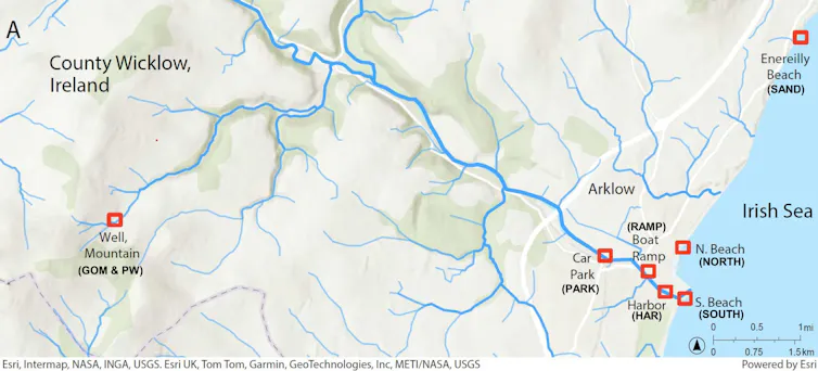 Map of Avoca River in County Wicklow, with red boxes congregating towards the mouth of the river towards the Irish Sea