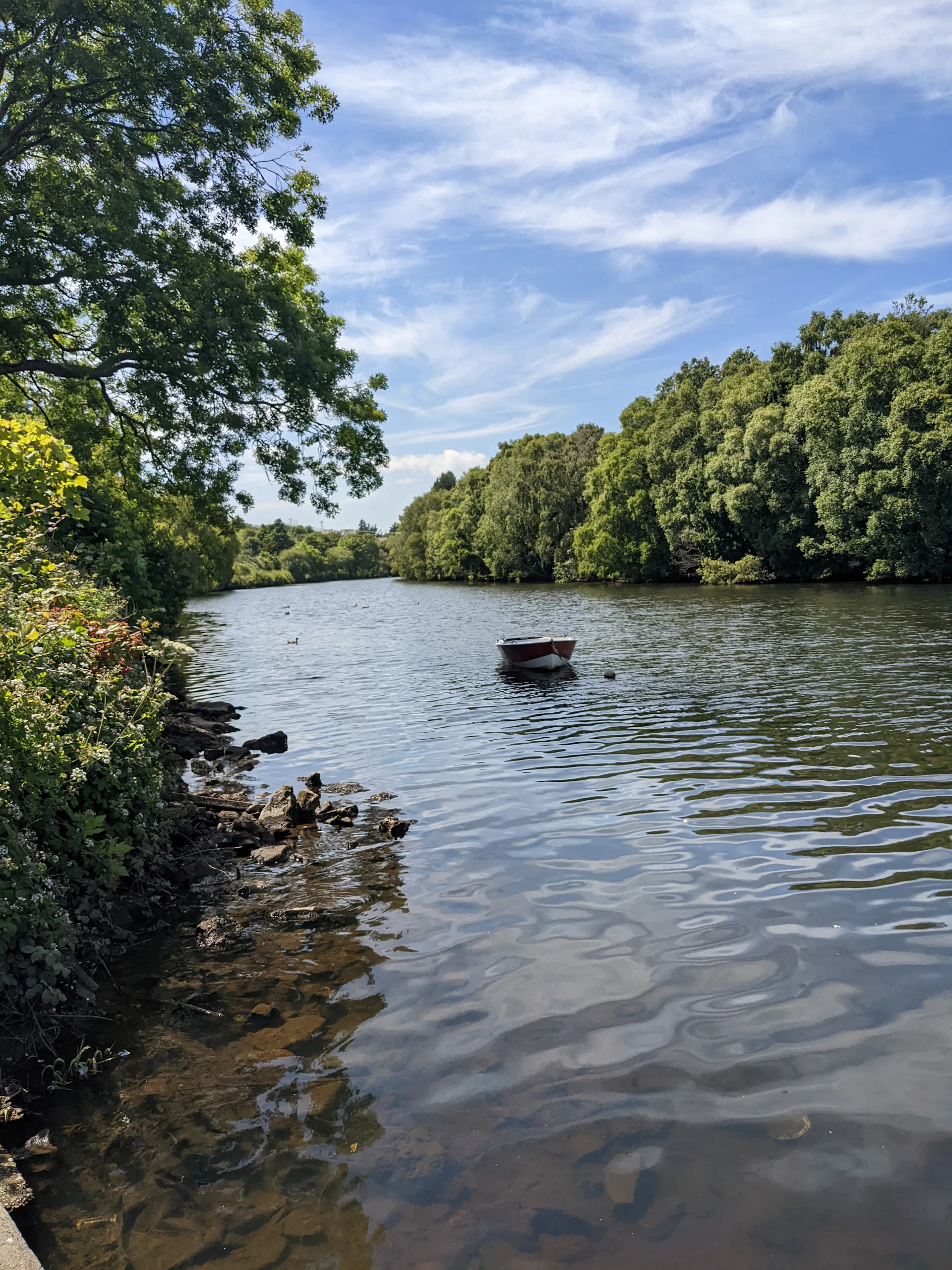 River floating between a line of trees, a boat floating placidly in the middle of the water under blue skies and white clouds