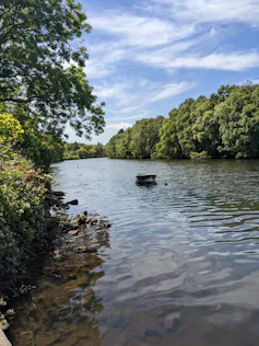 River floating between a line of trees, a boat floating placidly in the middle of the water under blue skies and white clouds