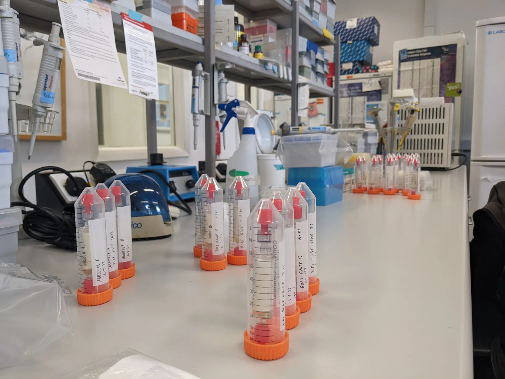 Orange cap test tubes lined up on a lab table