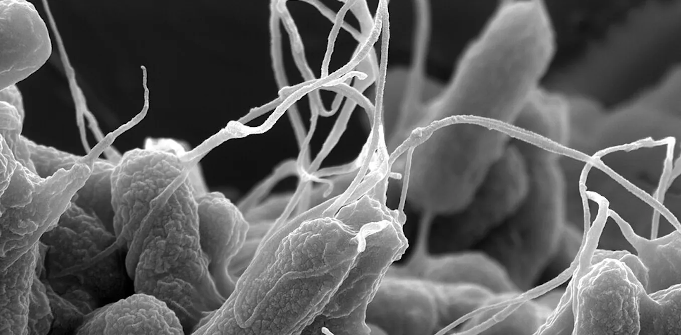 EduWireDaily — How generative AI and physics can help design new antibiotics
