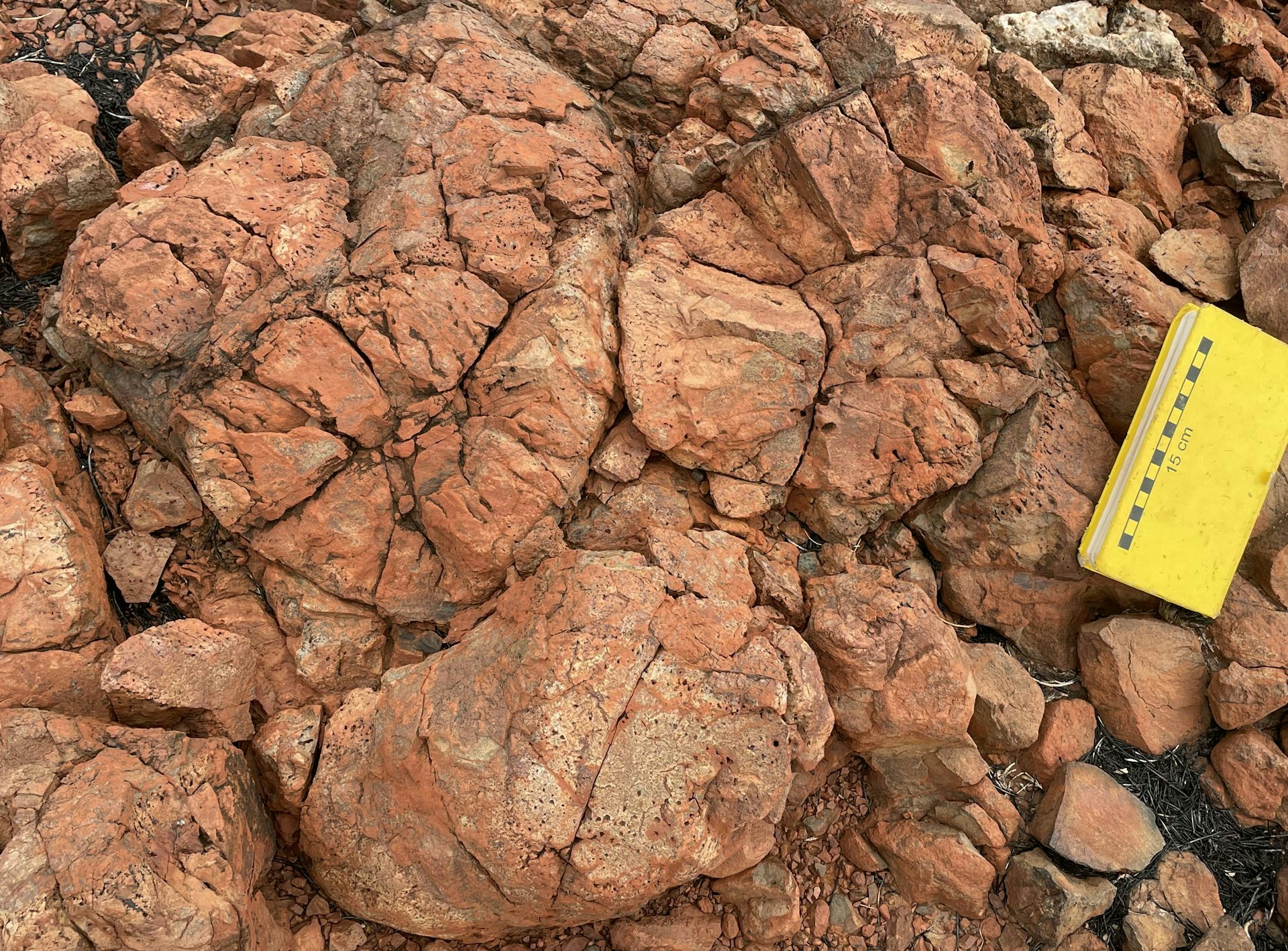 3.1 billion-year-old rocks in Australia reveal a forgotten chapter of Earth’s water cycle