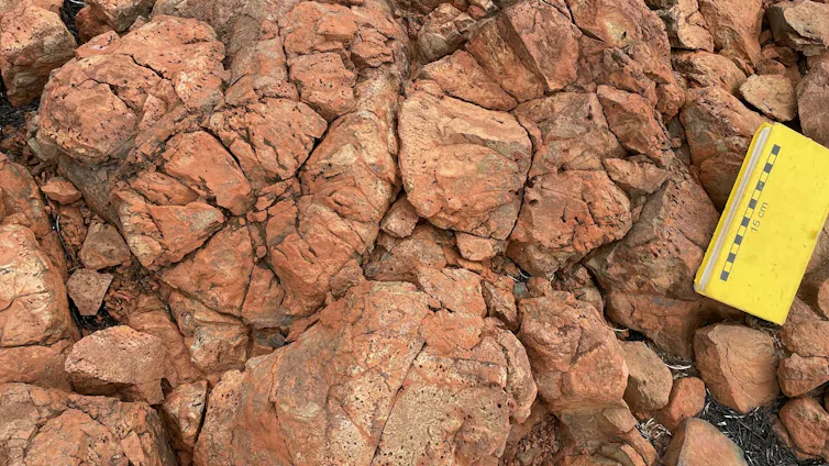 Close-up of red rocks with unusual cracked shapes and small holes.