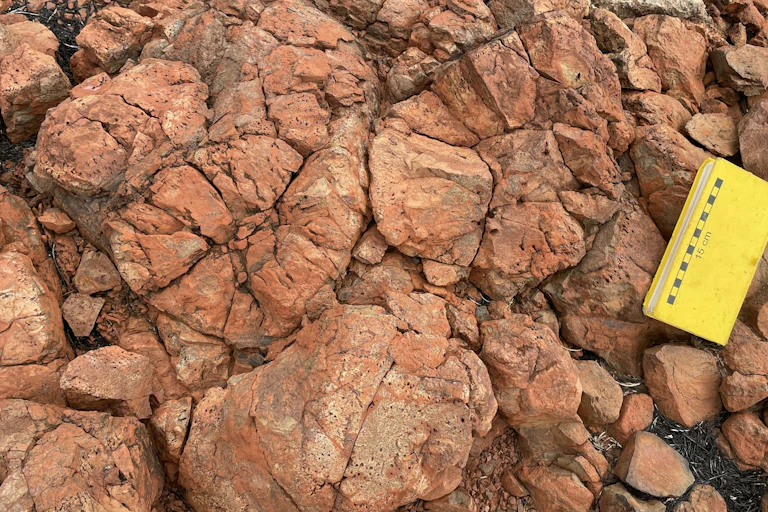 Close-up of red rocks with unusual cracked shapes and small holes.