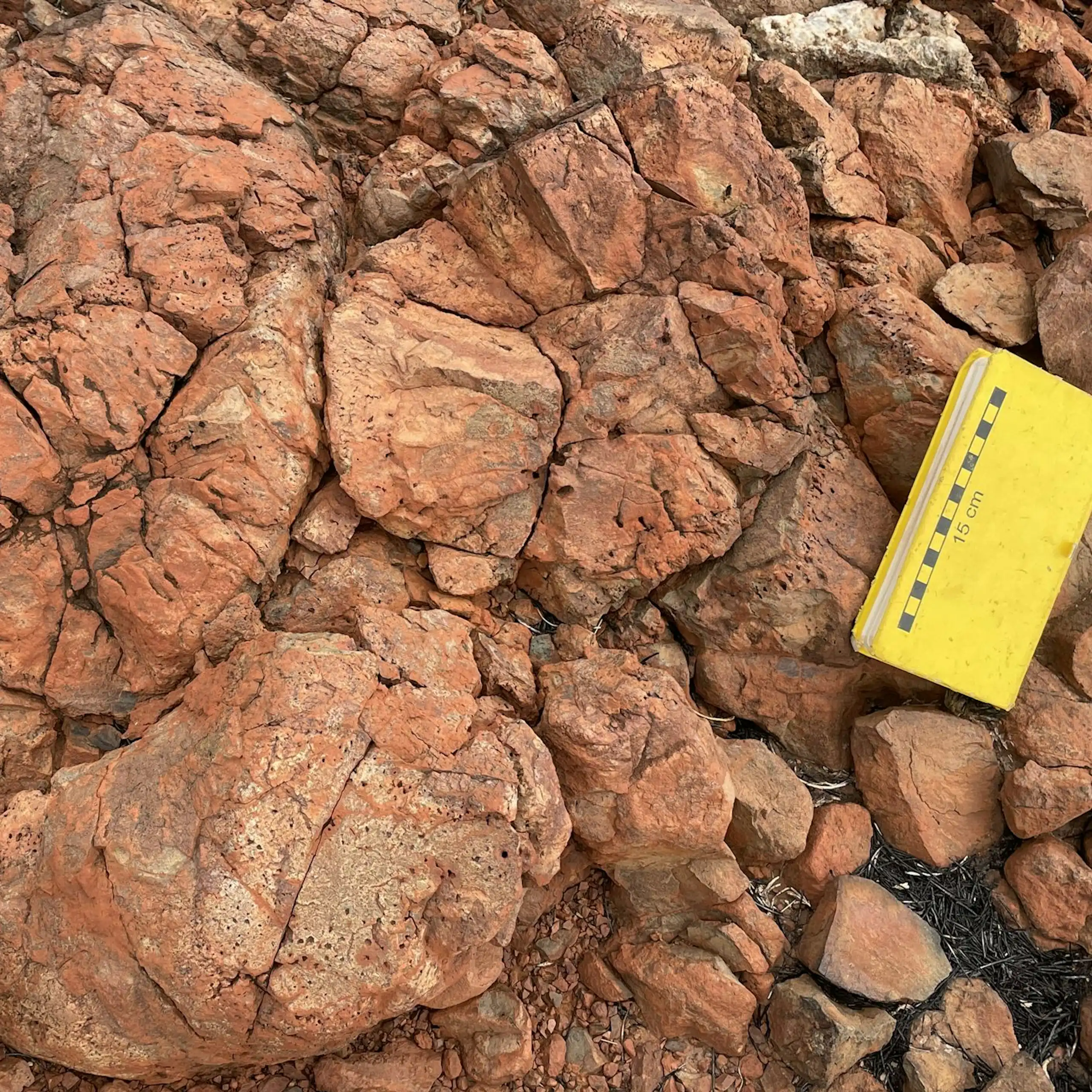 Close-up of red rocks with unusual cracked shapes and small holes.