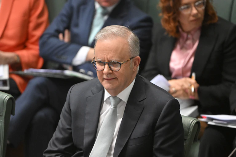 Anthony Albanese sits in parliament and smiles