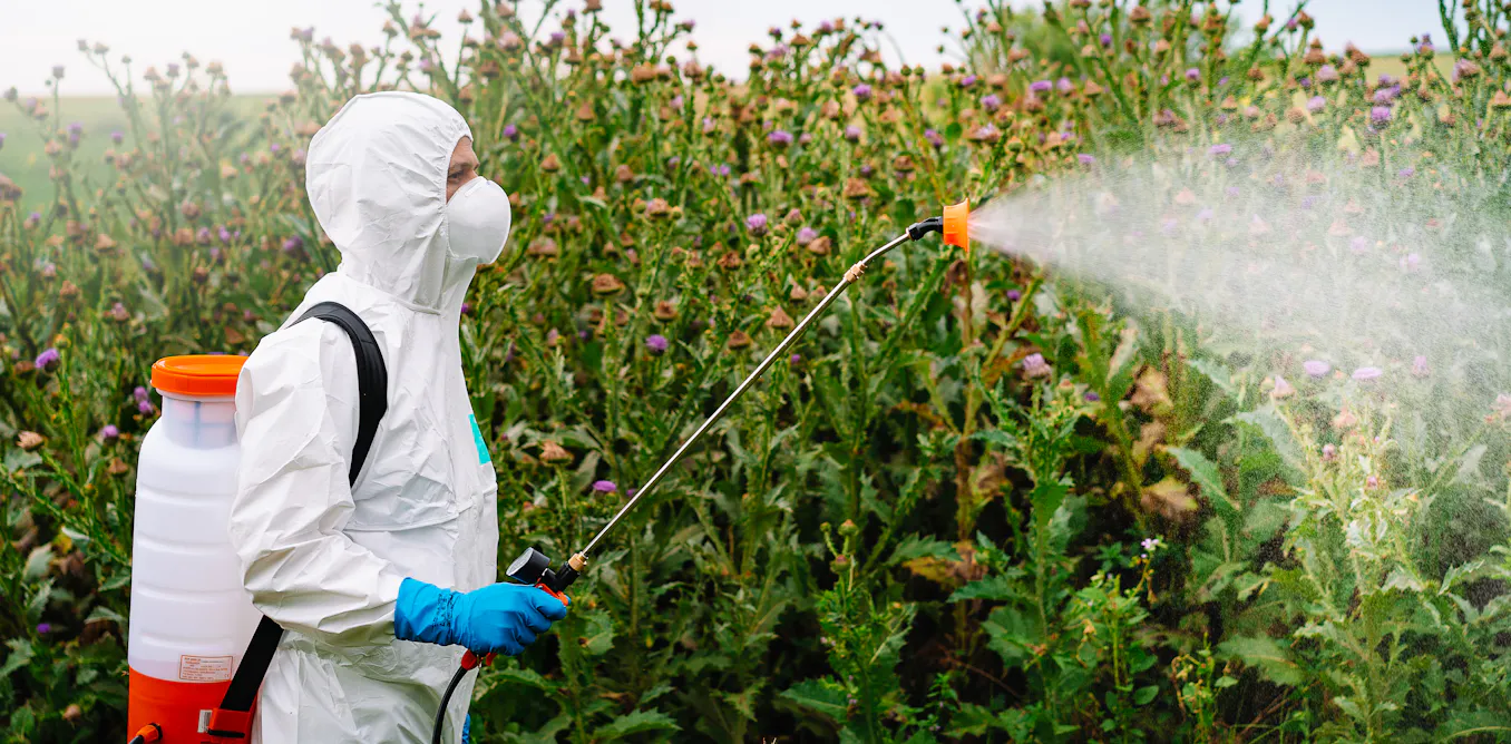 EduWireDaily — NZ’s approval of Roundup relies on industry-funded reviews currently under investigation