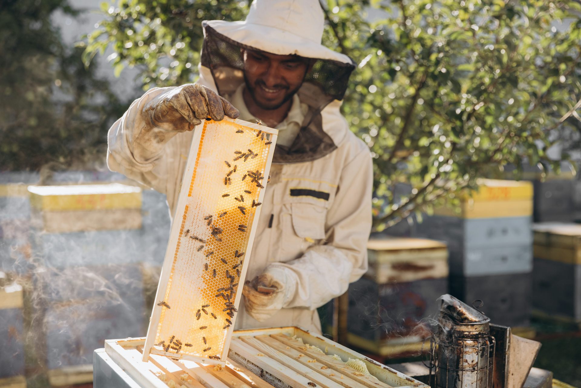 Beekeeping as a hobby – why it’s a great choice for young men struggling with mental health or loneliness