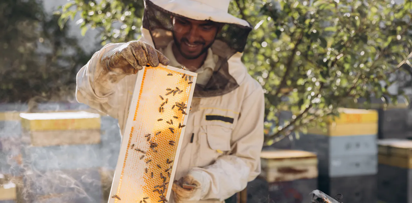 Beekeeping as a hobby – why it’s a great choice for young men struggling with mental health or loneliness Beekeeping as a hobby – why it’s a great choice for young men struggling with mental health or loneliness