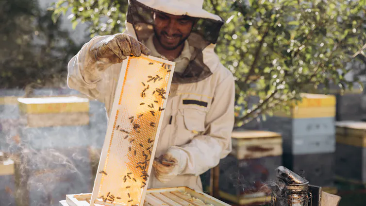 A young man tending to his bees
