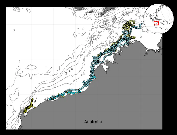 A map that tracks where the turtle travelled off the north Australian coast.