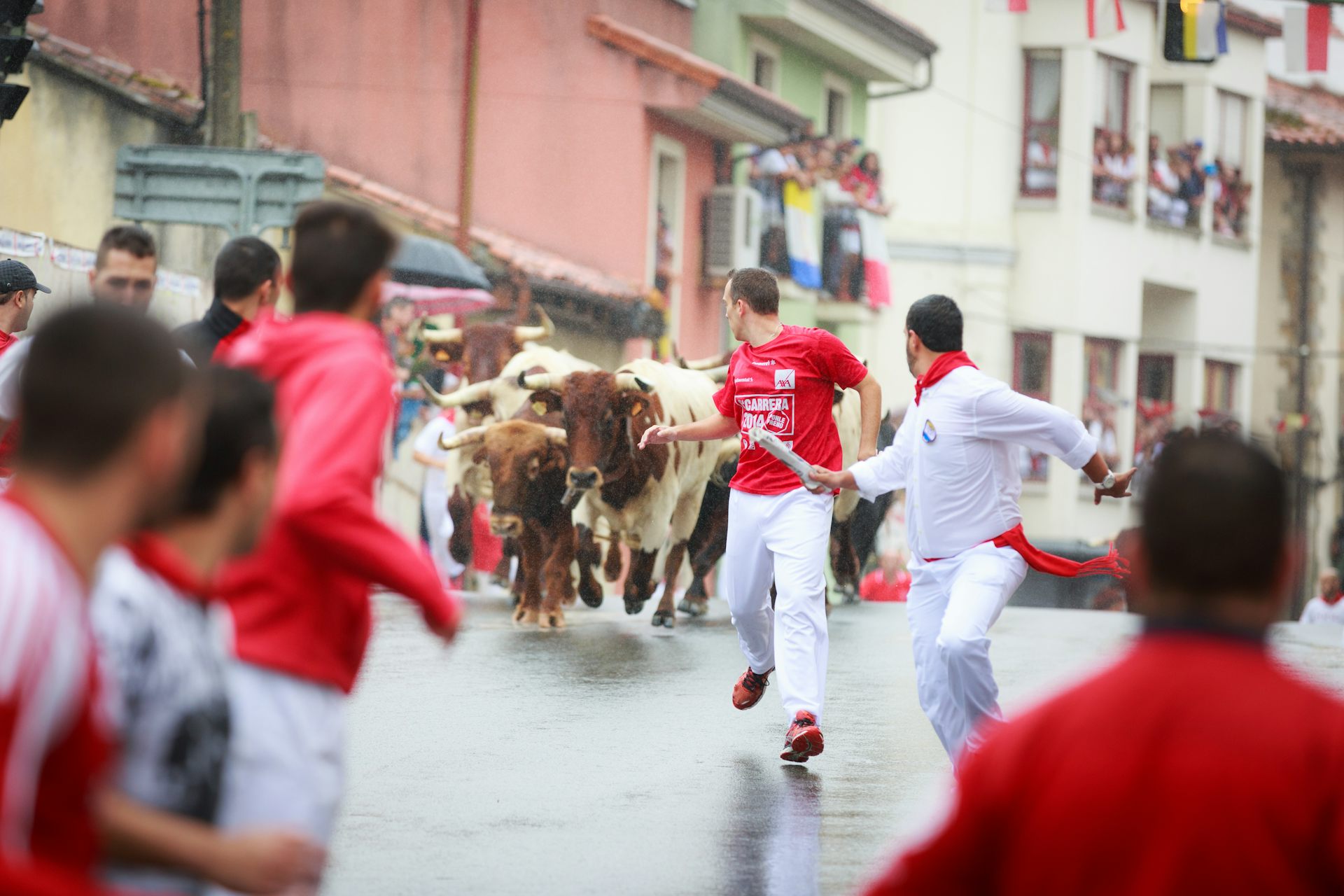 La gente corre delante de los toros.