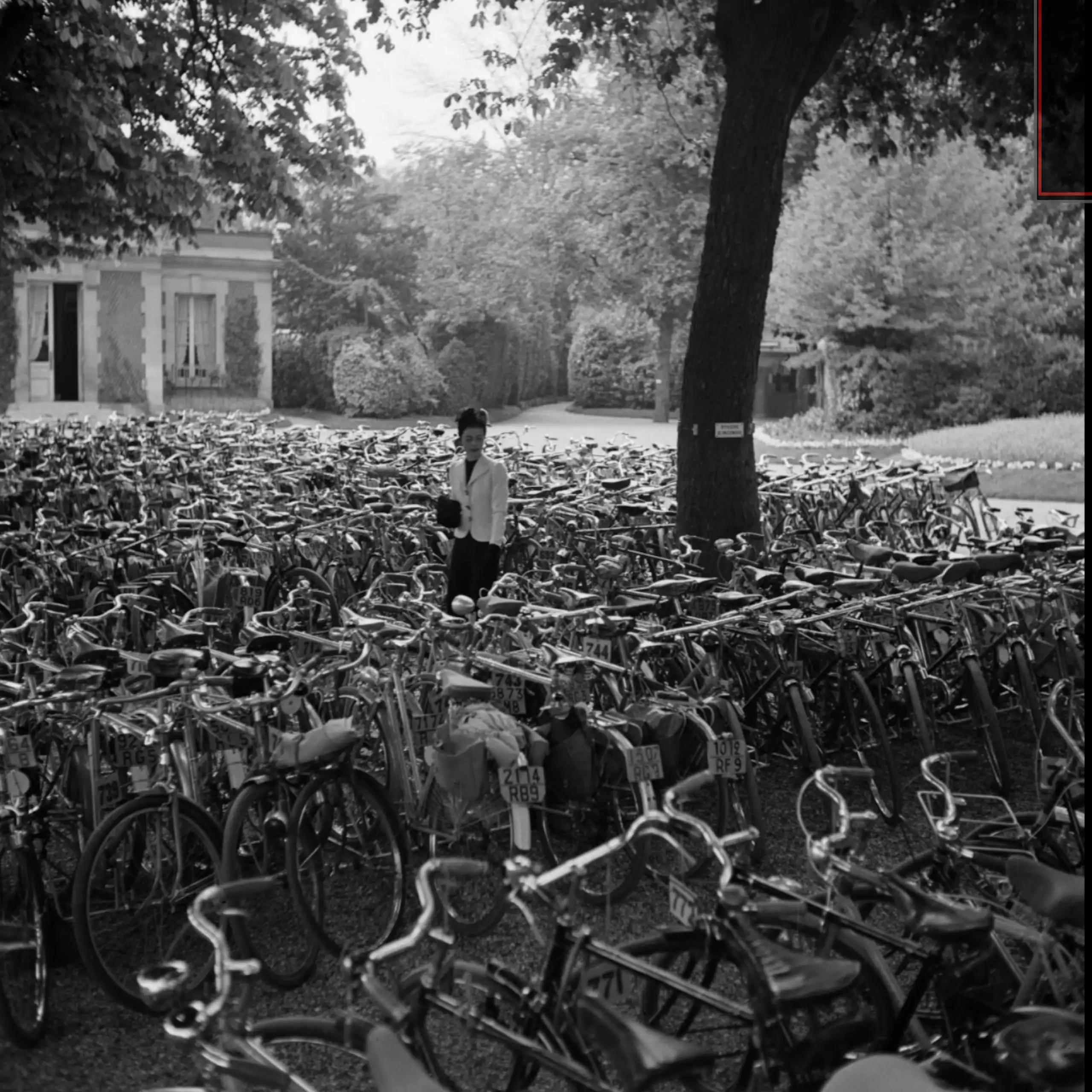 Une femme marchant au milieu d’un champ de vélos.