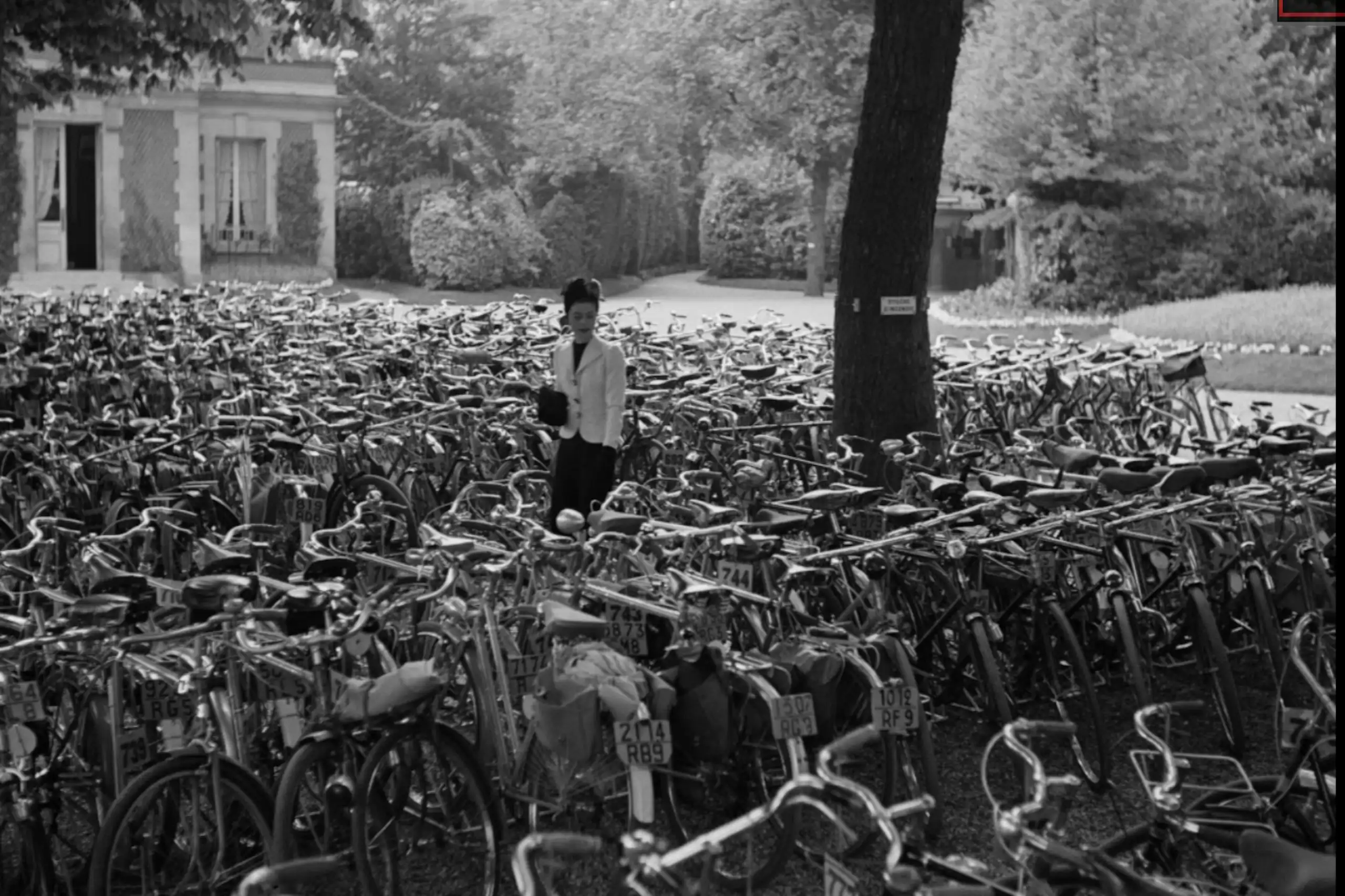 Une femme marchant au milieu d’un champ de vélos.