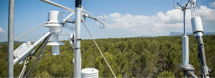 Un tour à flux permettant de mesurer les flux de carbone d’une forêt