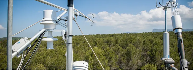 A flux tower used to measure carbon fluxes in a forest