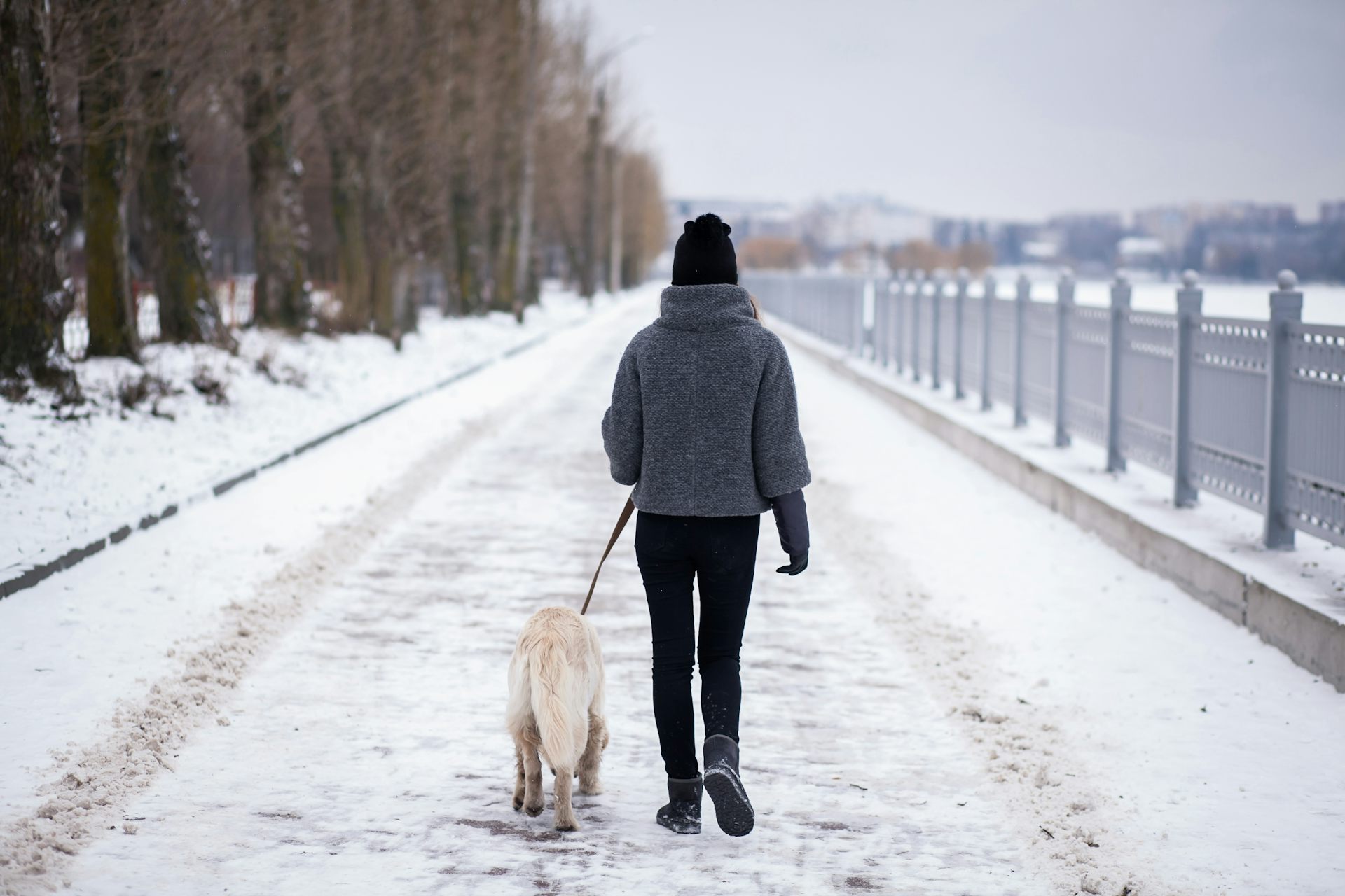 Una dona camina amb un gos per un camí ple de neu.
