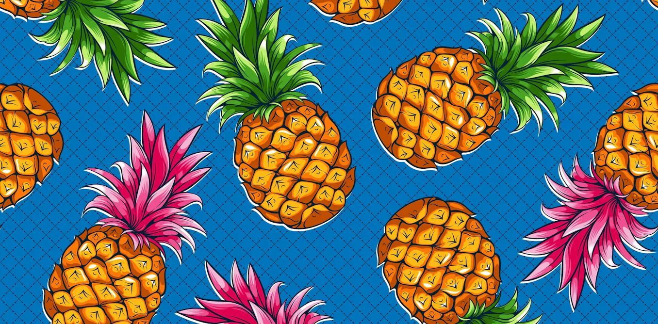 Hummingbirds and pineapples: why this ancient relationship hits the evolutionary sweetspot Hummingbirds and pineapples: why this ancient relationship hits the evolutionary sweetspot