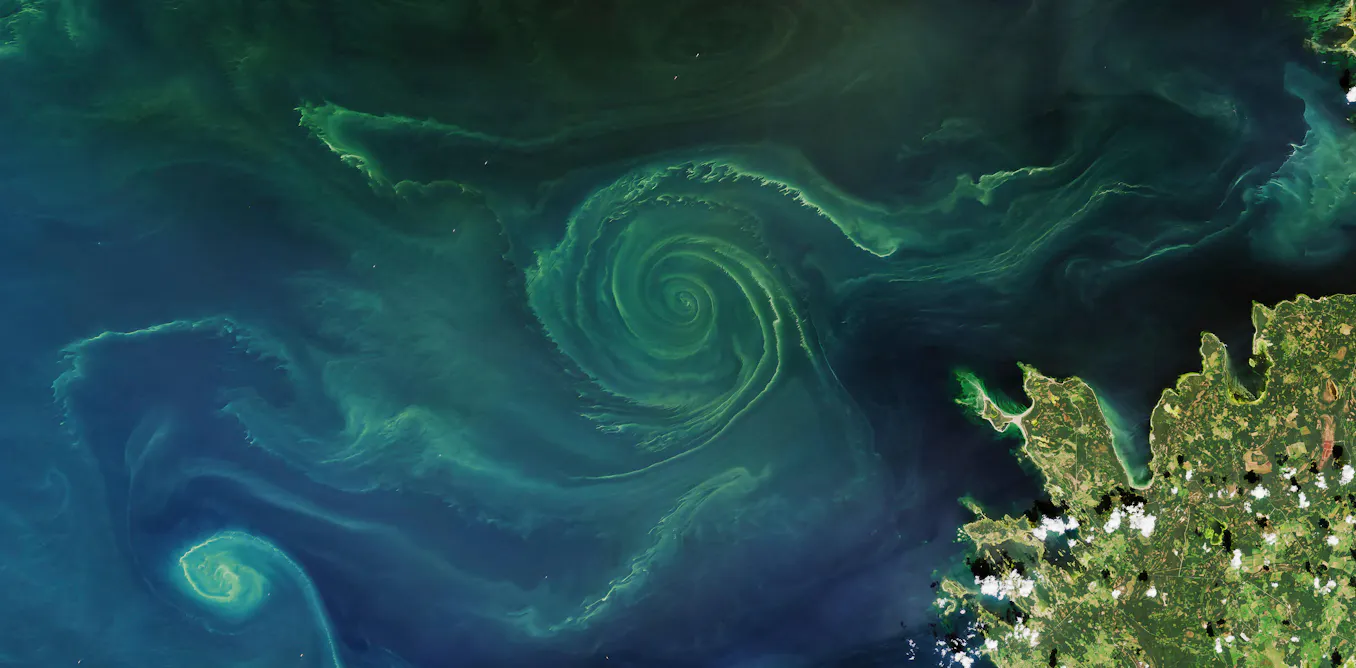 Nanobubbles cleaned up the Lincoln reflecting pool: here’s how they could be used on dying seas and lakes