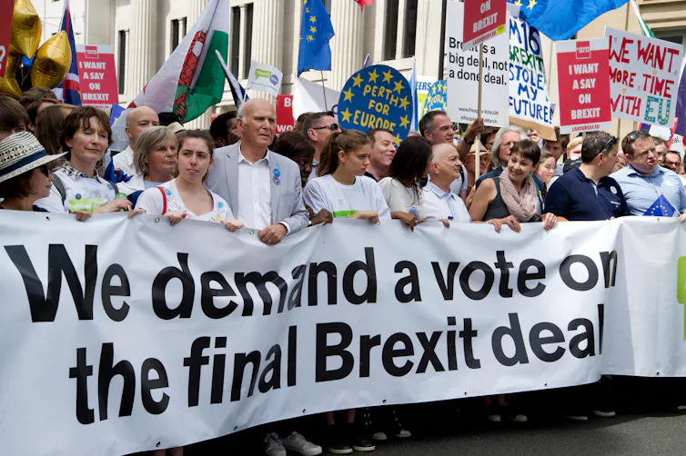 Britain’s quarter century: Blair, populism and the fight over human rights 6 Gina Miller at the front of a campaign banner over Brexit