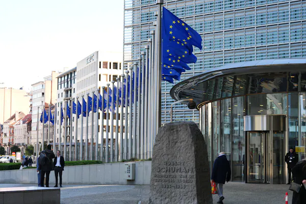 A row of blue flags with the EU symbol on them fly outside a building