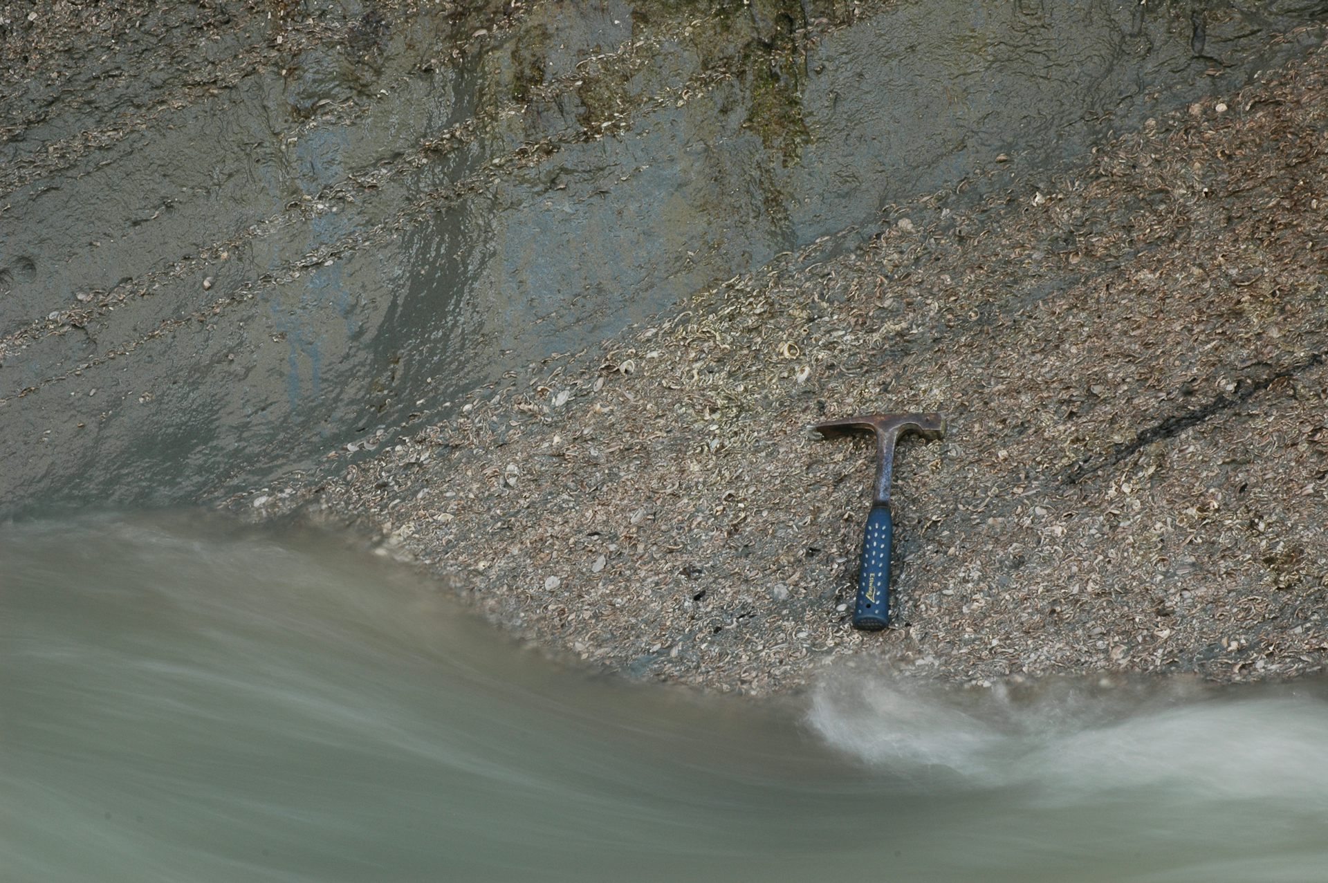 A tilted shell bed of densely packed, 20-million-year-old clams and snails in Broken River, Canterbury.