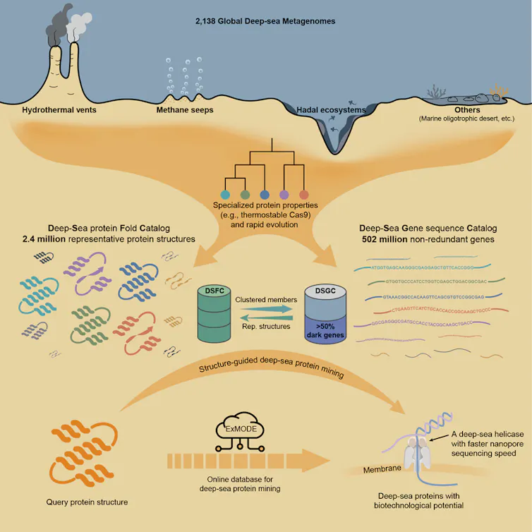 Infographic summarising the author's research programme.