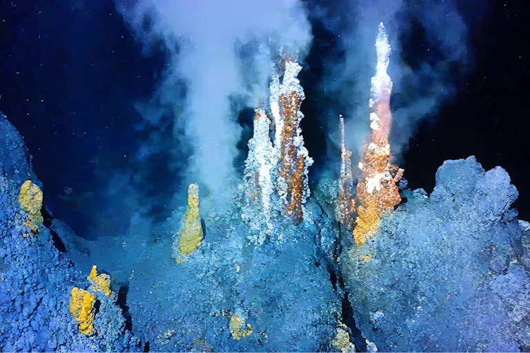 Deep-sea hydrothermal vents in the Mid-Atlantic.