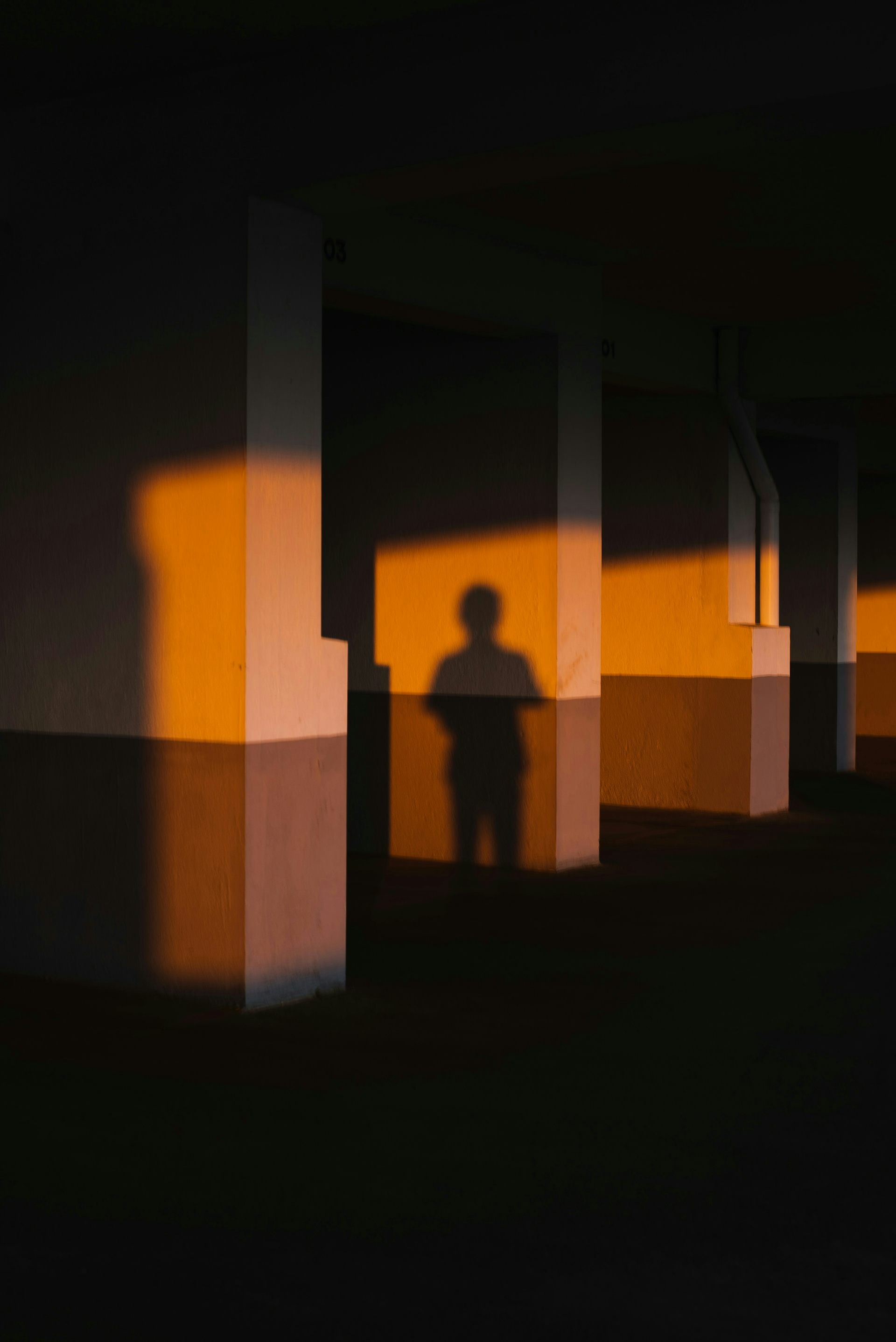 EduWireDaily — We assessed dozens of programs for men who use violence. Here’s what we learned