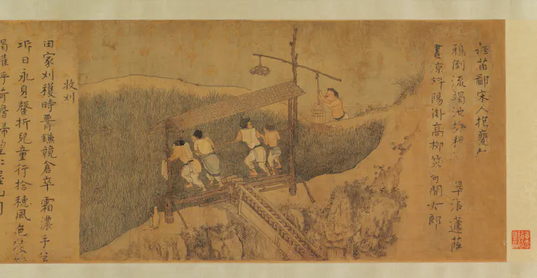 A yellowing scroll; five men harvest rice.