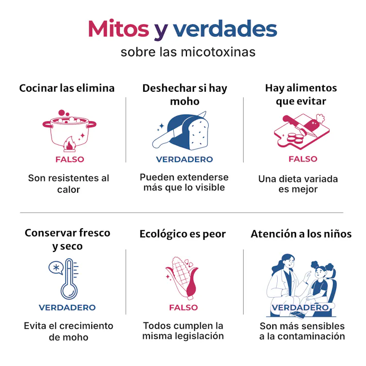 Infografía que resume los principales mitos y verdades sobre las micotoxinas en los alimentos. Explica qué prácticas domésticas ayudan a reducir el riesgo y cuáles no.