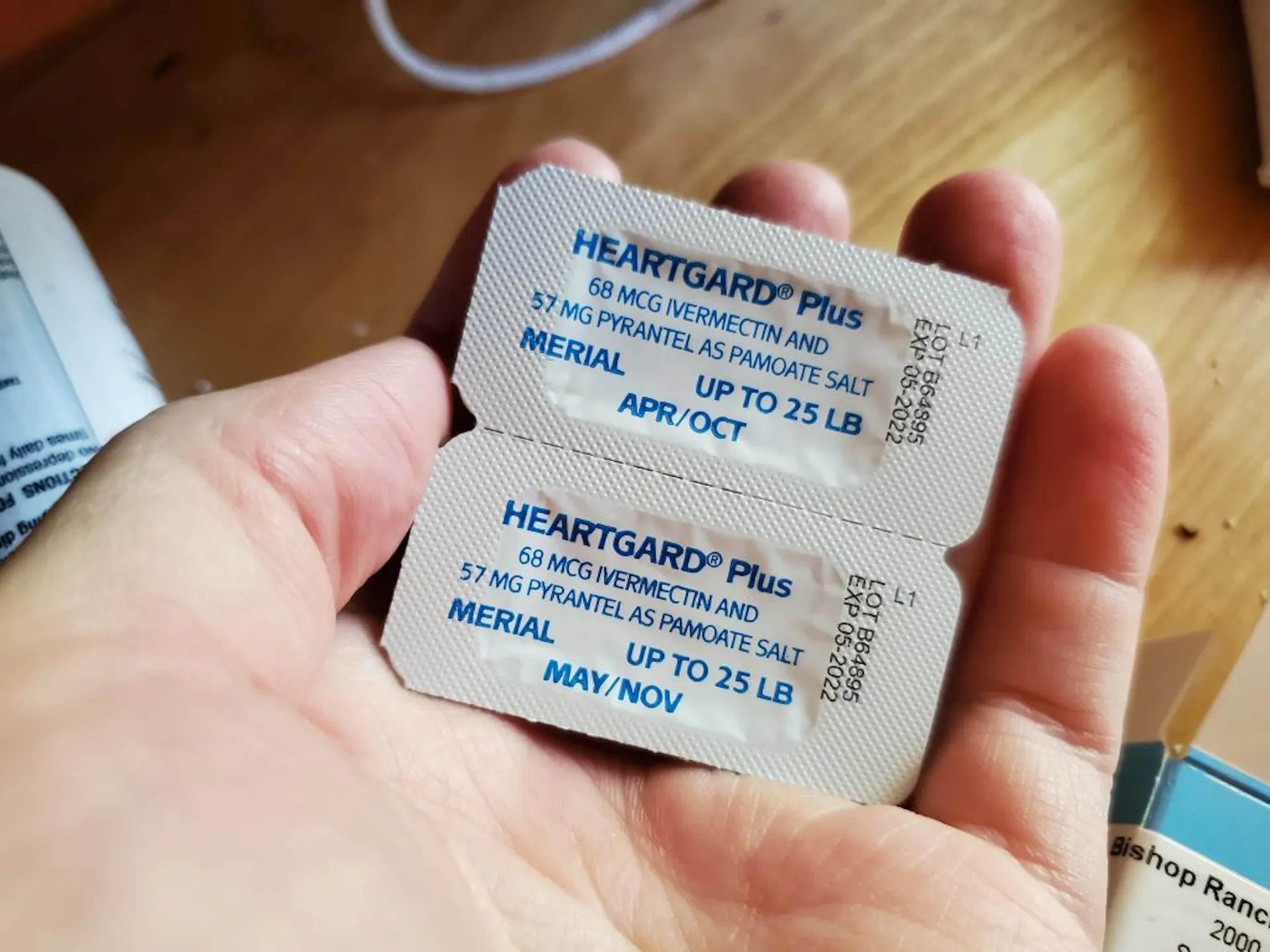 Hand holding two packets of Heartgard