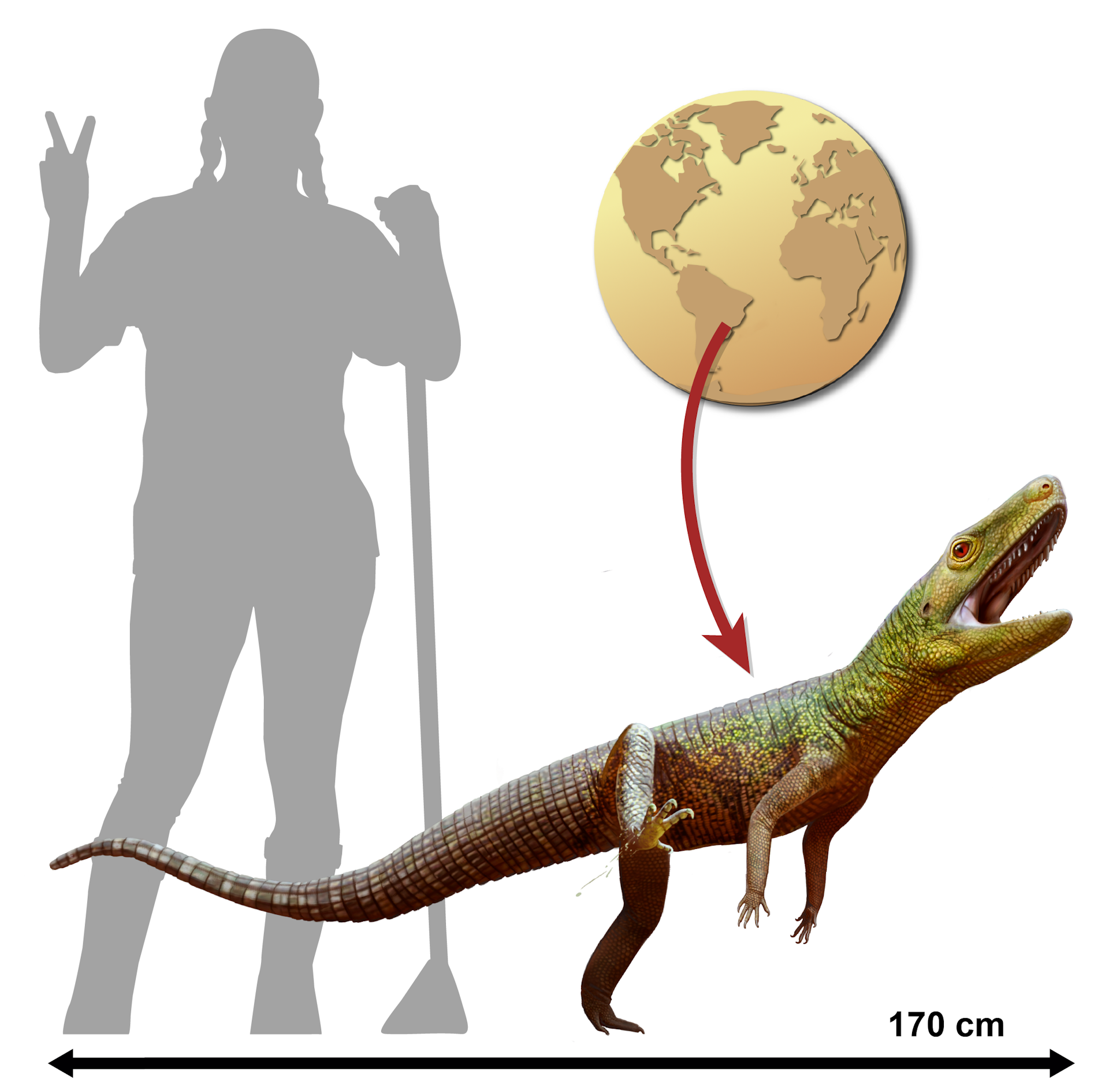 In Brasilien gefundenes Reptilienfossil hilft, Aufschluss über die gemeinsame Herkunft von Dinosauriern und Krokodilen zu geben