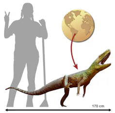 In Brasilien gefundenes Reptilienfossil hilft, Aufschluss über die gemeinsame Herkunft von Dinosauriern und Krokodilen zu geben In Brasilien gefundenes Reptilienfossil hilft, Aufschluss über die gemeinsame Herkunft von Dinosauriern und Krokodilen zu geben
