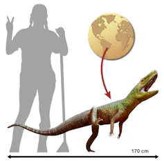 Infográfico mostra uma ilustração do _Silescelida acristata_, comparado com o tamanho de uma pessoa, e o globo terrestre, mostrando que vivia na América do Sul