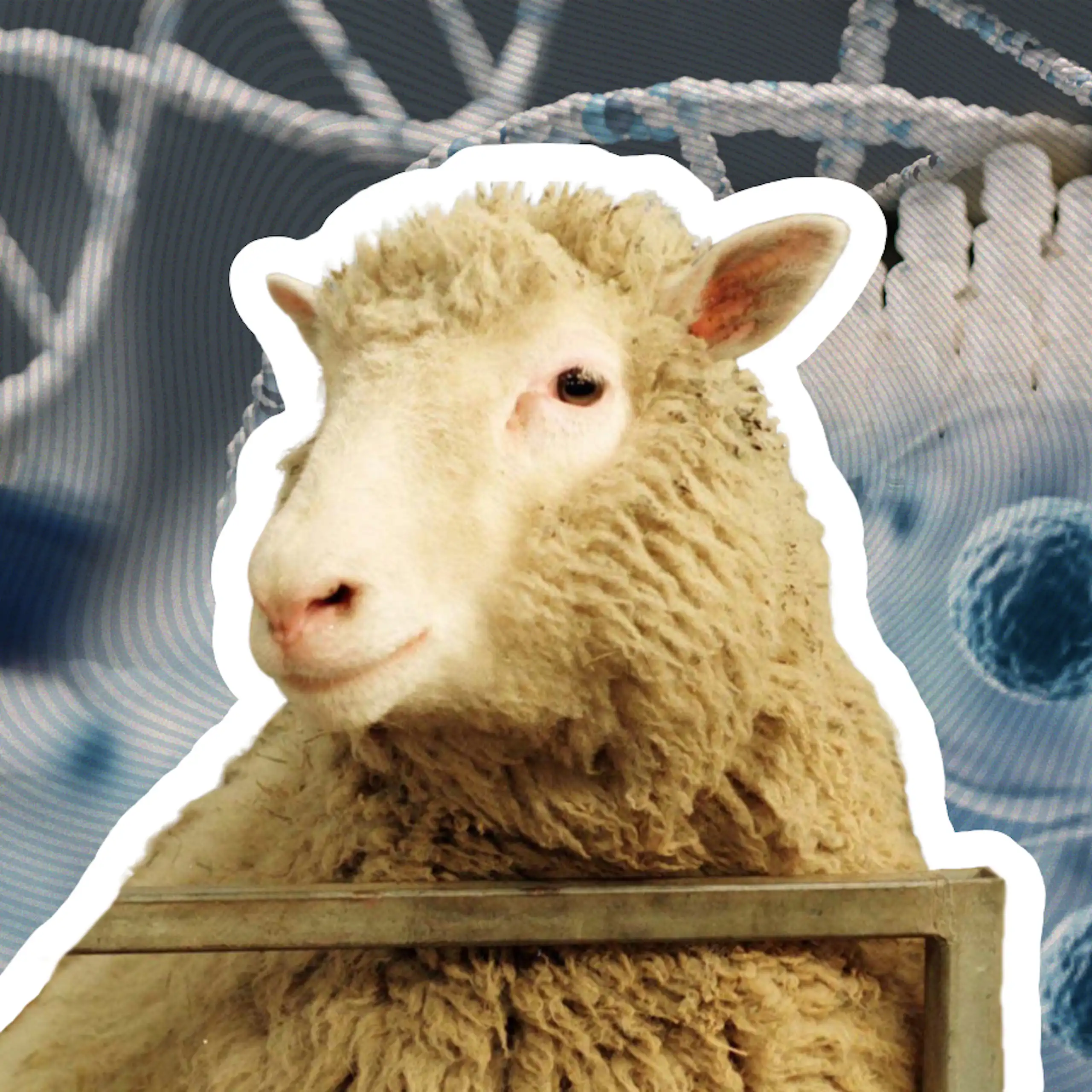 Collage of Dolly the sheep and various cell science related images in the background.