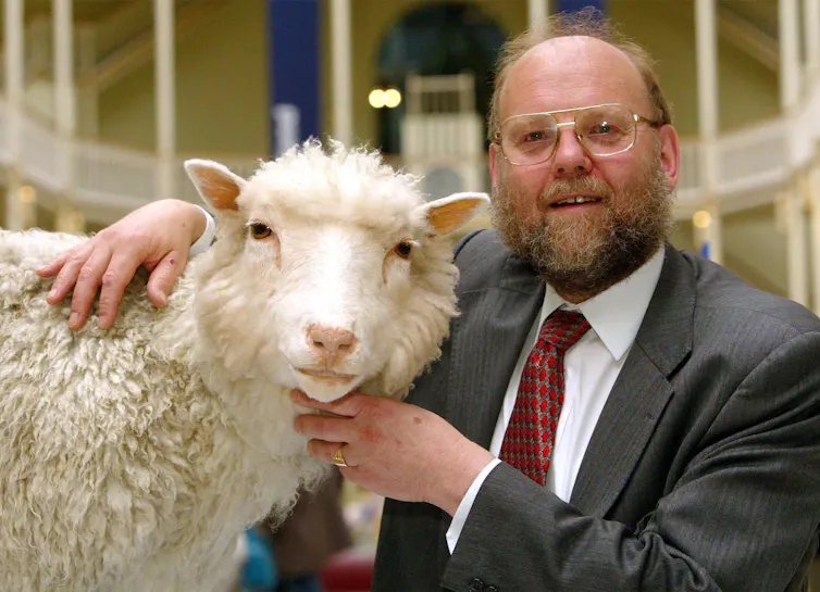 30 years since Dolly the sheep used to be born, the place is cloning era at now? 30 years since Dolly the sheep used to be born, the place is cloning era at now?