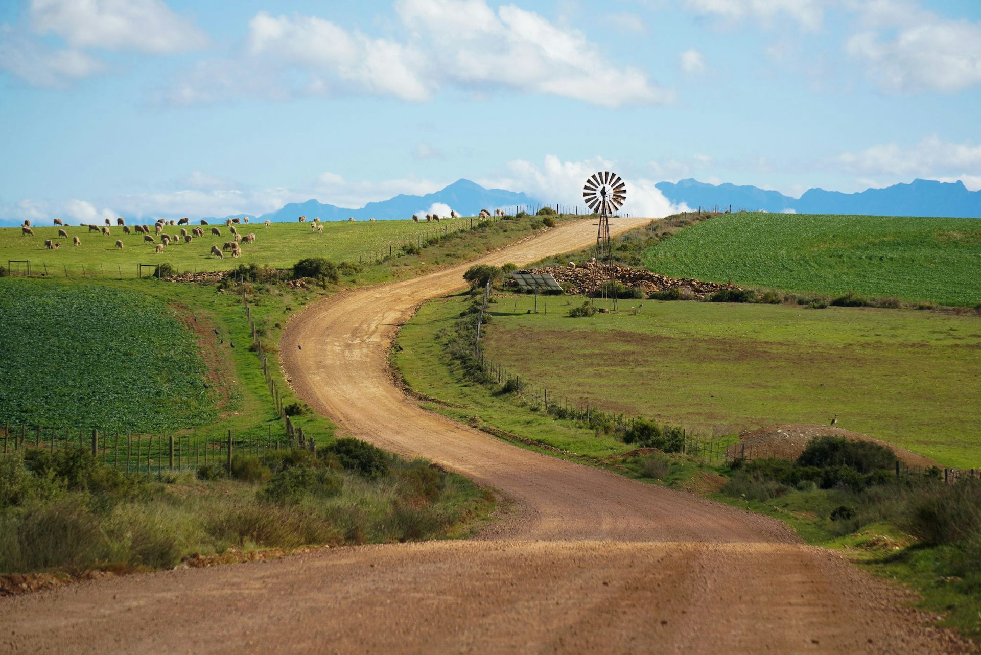 Will El Niño drought hit food prices in South Africa? Earlier rains and grain stocks offer hope