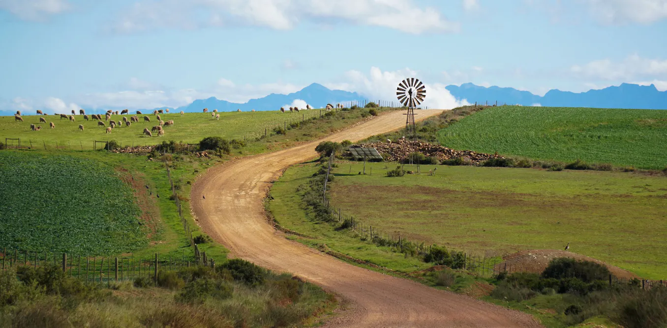 EduWireDaily — Will El Niño drought hit food prices in South Africa? Earlier rains and grain stocks offer hope