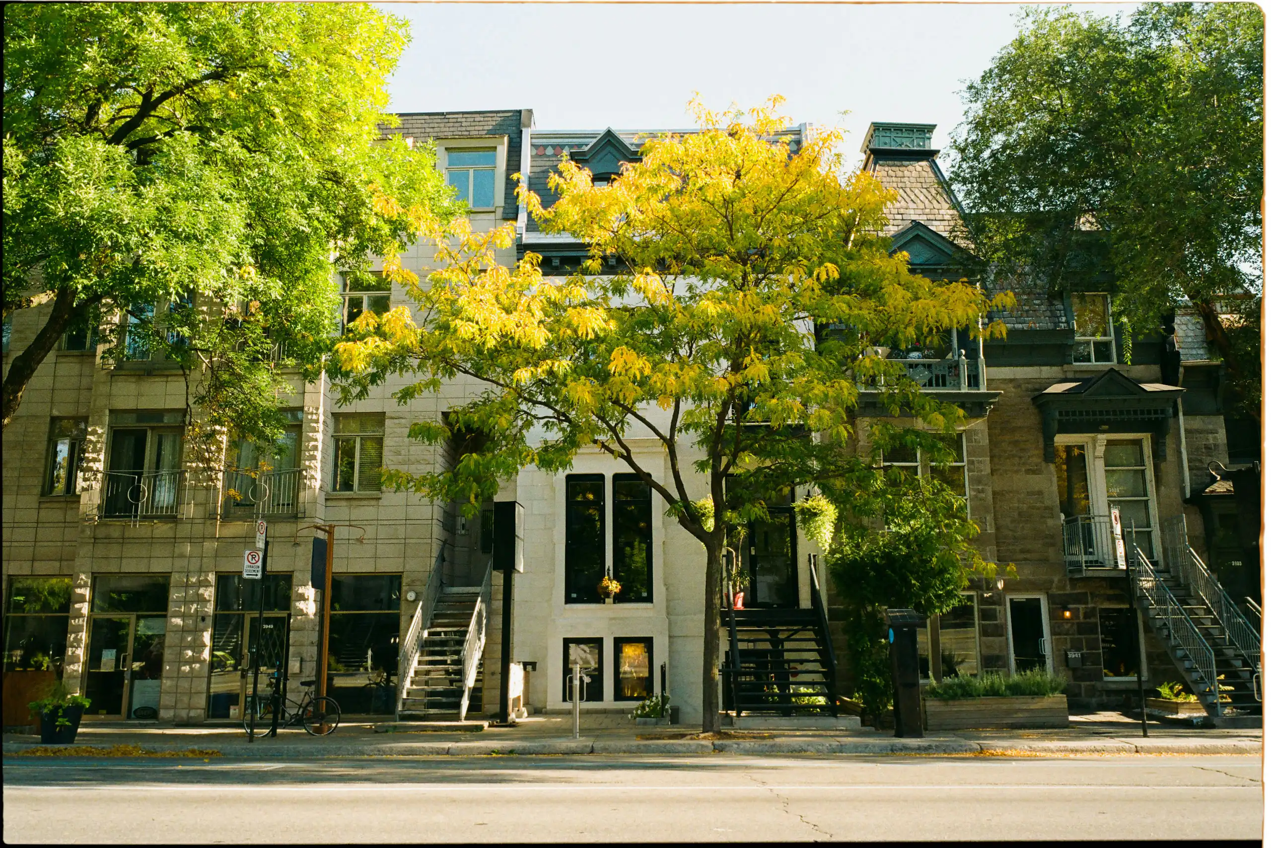 Assisted-living facilities surrounded by tall trees