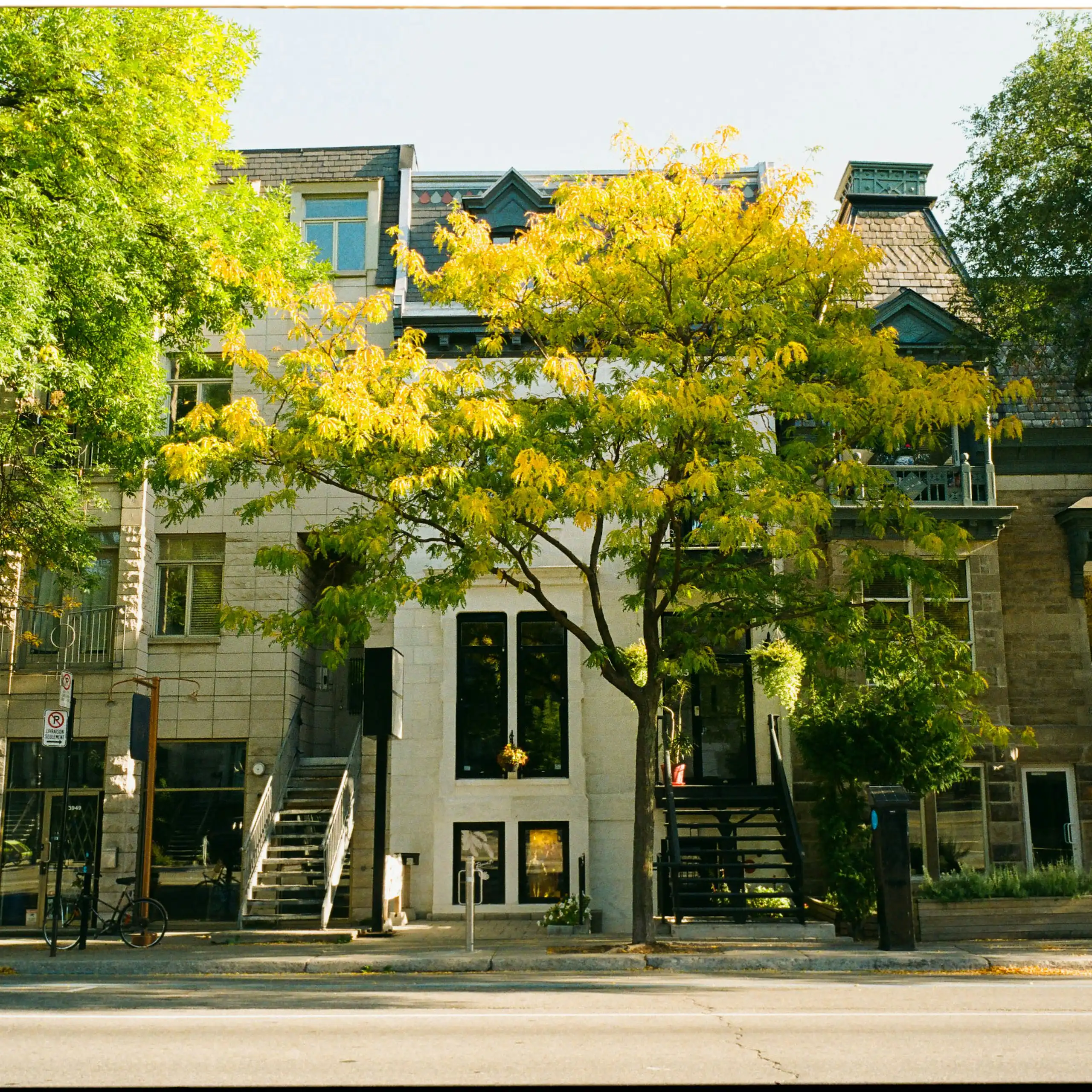 Assisted-living facilities surrounded by tall trees