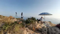 ¿Por qué el segundo animal más grande del planeta camina por la costa del mar Mediterráneo? 1 file 20260707 57 6qcw8c.jpg?ixlib=rb 4.1