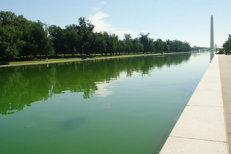 Le bassin du mémorial Lincoln